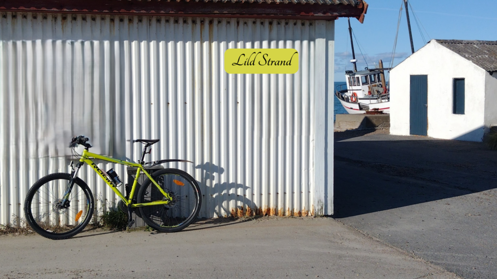 Cykel udlejning